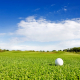 Kurzurlaub mit Hund auf dem Golfplatz