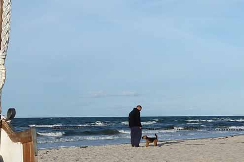 Hund am Ostseestrand mit Herrchen