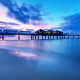 Usedom mit Hund am Strand von Heringsdorf