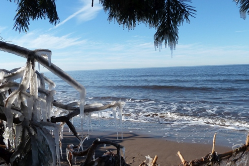 Winterurlaub mit Hund am Ostseestrand mit Eiszapfen